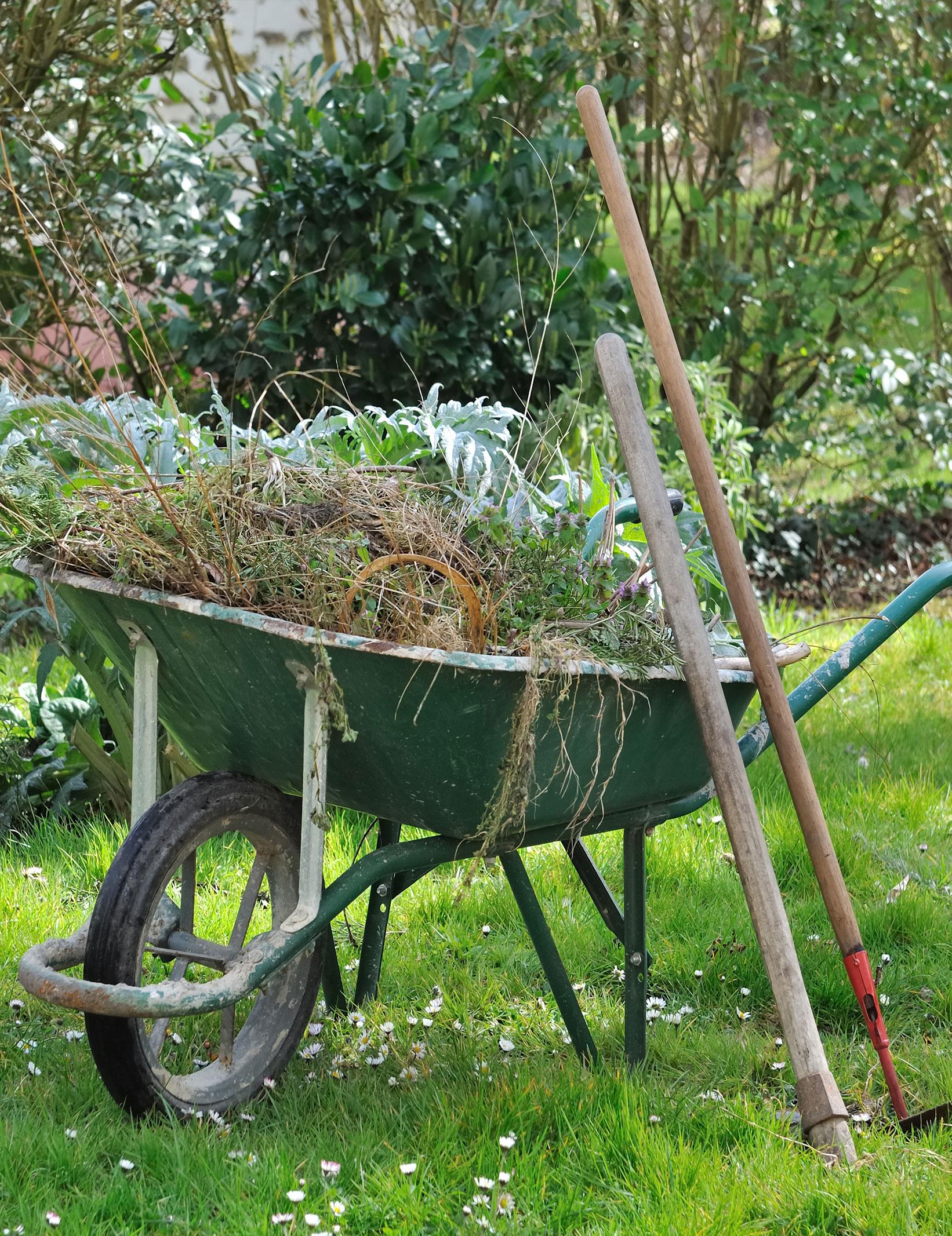Broyage Montguyon